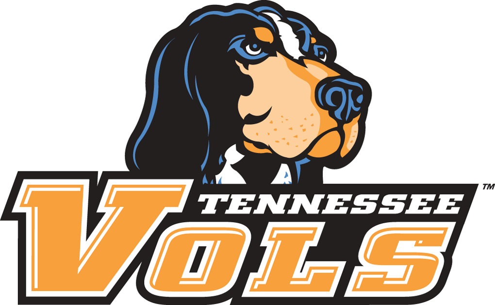 Tennessee Volunteers 2005-Pres Alternate Logo v2 iron on transfers for T-shirts...